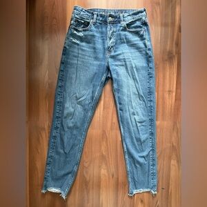 American Eagle Outfitters Relaxed Fit Blue Jeans